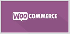 woocommerce developments